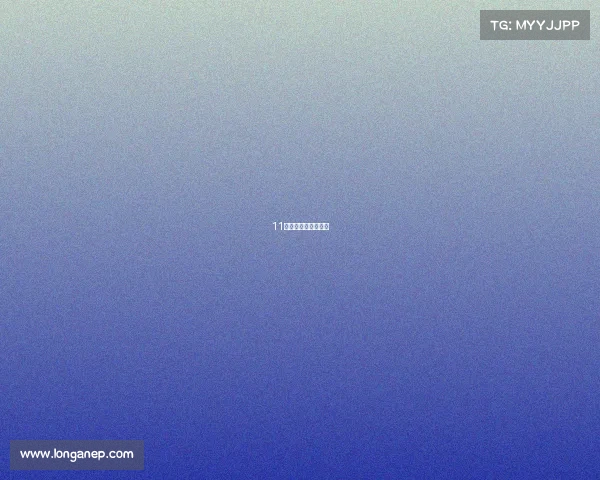 11款新车申报图曝光！